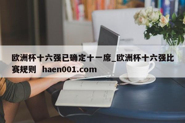欧洲杯十六强已确定十一席_欧洲杯十六强比赛规则  haen001.com