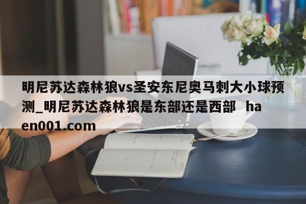 明尼苏达森林狼vs圣安东尼奥马刺大小球预测_明尼苏达森林狼是东部还是西部  haen001.com
