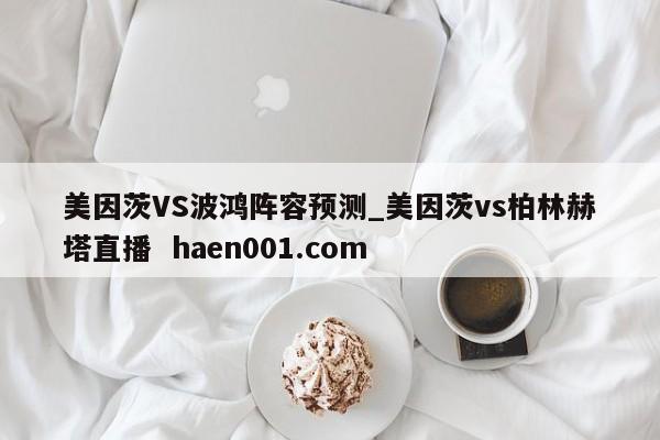 美因茨VS波鸿阵容预测_美因茨vs柏林赫塔直播  haen001.com